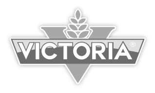 Logo cliente